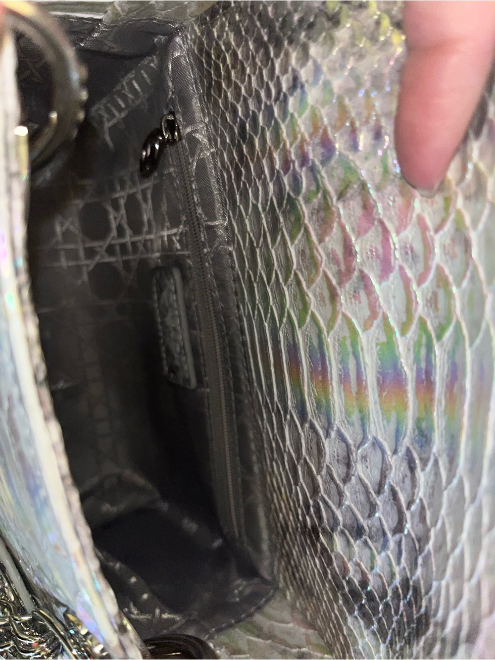 Source Unknown Iridescent Silver Snake-Embossed Crossbody Bag